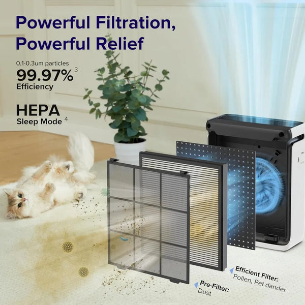 Smart Large Air Purifier