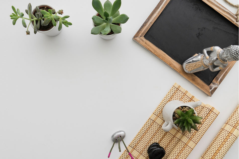  Minimalist desk setup with succulents, a chalkboard, and decor on a white surface.